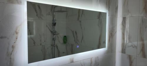 a mirror in a bathroom with a shower at Golem Apartment in Golem