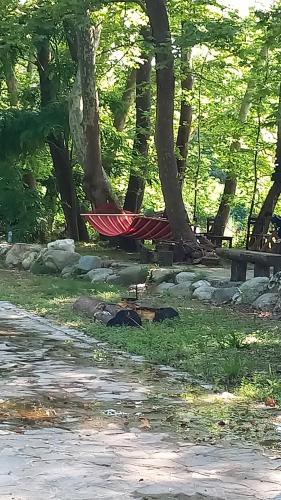 a red hammock in a park with trees at Парк - Хотел Макензен in Melnik