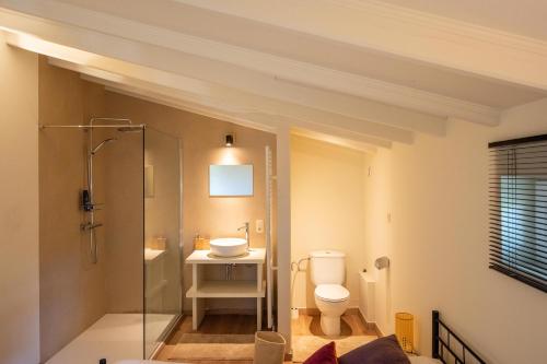 een badkamer met een douche, een toilet en een wastafel bij House On The Green in Waregem