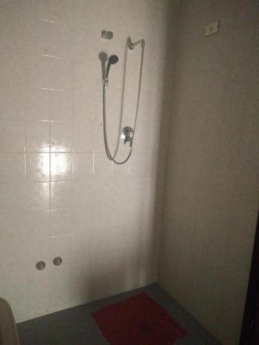 a shower stall in a bathroom with a red rug at Hotel Peonia in Rimini