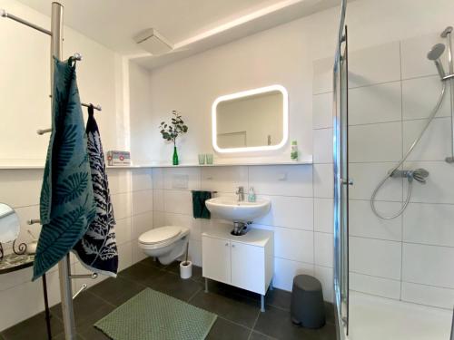 a bathroom with a toilet and a sink and a shower at Sweet Home Tholey in Tholey