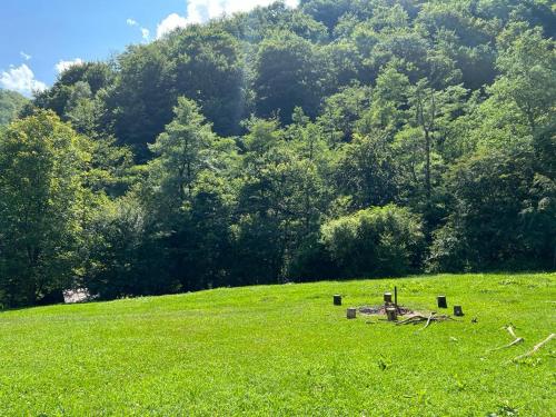 a field with a bench in the middle of a field at Pension Casa Vanatorilor in Băile Olăneşti