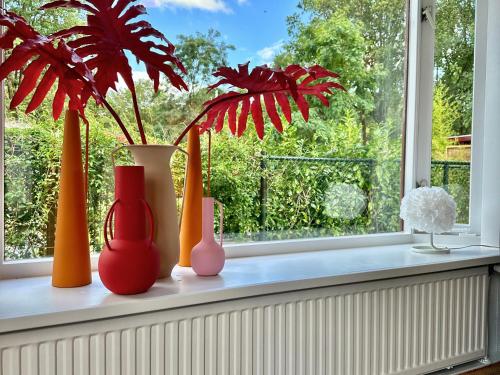 four vases sitting on a window sill with a plant at Gezellig en luxe chalet met zicht op het water in Erm