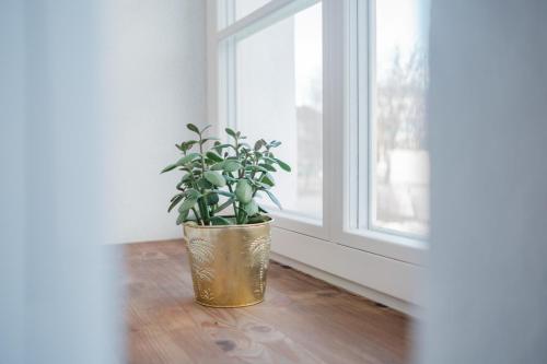 Gambar di galeri bagi Filosoofi 1 Studio Apartments di Tartu