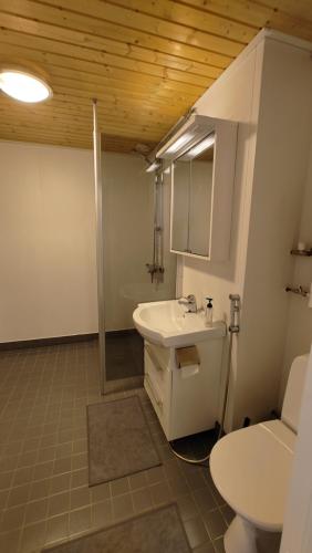 a bathroom with a sink and a toilet at New 1 bedroom apartment near amenities nilsia near tahko in Nilsiä