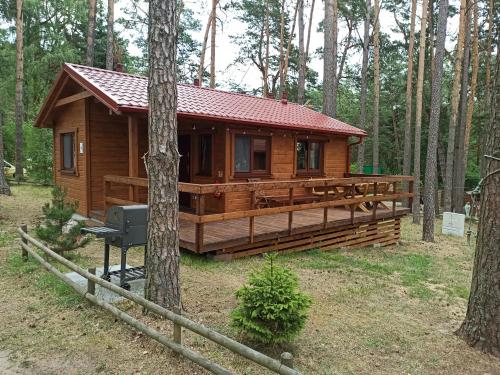 een houten hut in het bos met een boom bij DWA DOMKI BORSK in Borsk