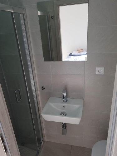 uma casa de banho com um lavatório, um chuveiro e um espelho. em Apartmán Podyjí em Znojmo