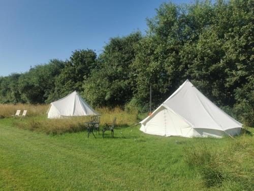two tents in a field with a table and chairs at Lainey's Rest in Wisbech