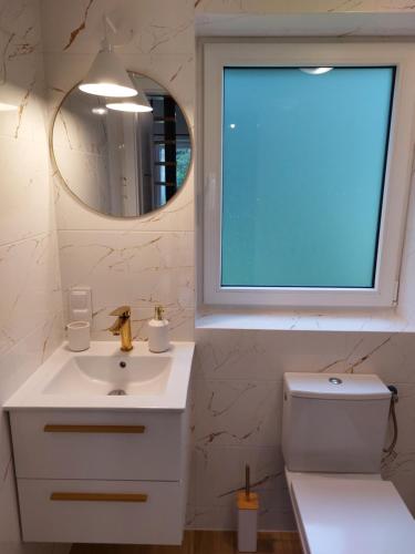 a bathroom with a sink and a mirror and a toilet at Leśna Osada in Bystrzyca