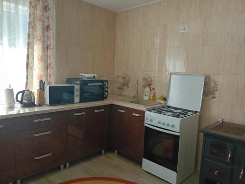 a small kitchen with a stove and a microwave at Cabanute pitoresti Poiana Largului in Poiana Teiului
