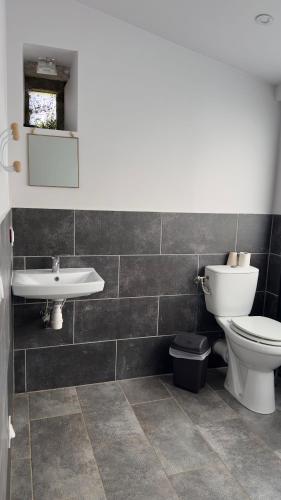 a bathroom with a toilet and a sink at Le Gîte les NUZ ( parc du château de Keroüartz) in Lannilis