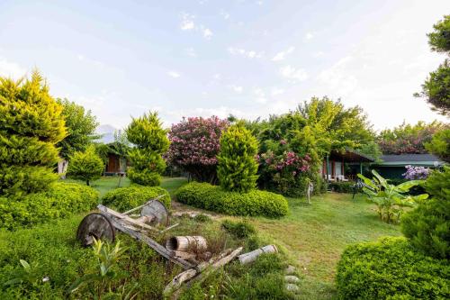 a garden with a pile of logs in the grass at Etenna Beach Bungalows in Cıralı