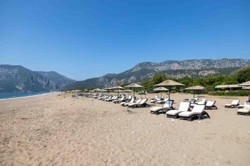 a row of chairs and umbrellas on a beach at Etenna Beach Bungalows in Cıralı