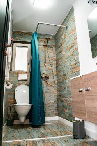 a bathroom with a toilet and a shower at Pensiunea 77 in Bucu
