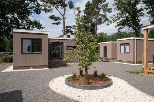 a modular house with a tree in a courtyard at Recreatiepark Maas en Bos in Wellerlooi