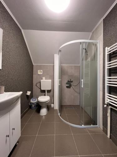 a bathroom with a shower with a toilet and a sink at Casa Maria Sarata Monteoru in Sărata-Monteoru