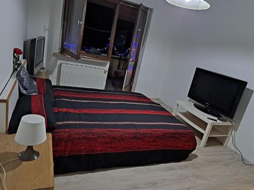 ein Wohnzimmer mit einem Bett und einem TV in der Unterkunft Ruhige Wohnung in ruhige Ort in Saarbrücken