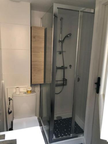 une salle de bain avec toilettes et douche en verre dans l'établissement T1 bis à proximité directe du village naturiste, au Cap d'Agde