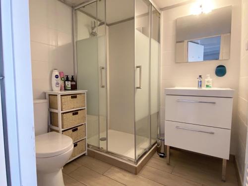 une salle de bain avec une douche, des toilettes et un lavabo dans l'établissement Large Duplex 2BR in Center of Arcachon 2 min walking beach and Free parking, à Arcachon
