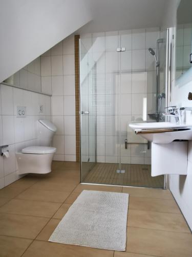 a bathroom with a shower and a toilet and a sink at Charmantes Ferienhaus Casa Ella mit Balkon Nähe Kinderklinik in Siegen