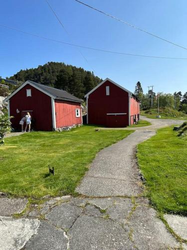 two red barns and a horse in a field at Sjarmerende og romslig bolig, omgitt av vakker natur in Molde
