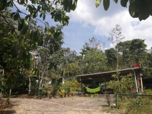 a house in the woods with a hammock in front of it at Finca Los 3 Laureles Nicaragua AgroEcolodge in San Ramón