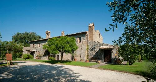 un vecchio edificio in pietra con un albero di fronte di Agriturismo Buriano a Lubriano