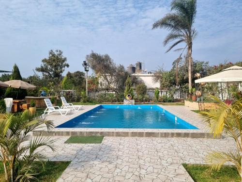 a swimming pool in a yard with a palm tree at Bungalows Payancas de Tato in Barranca