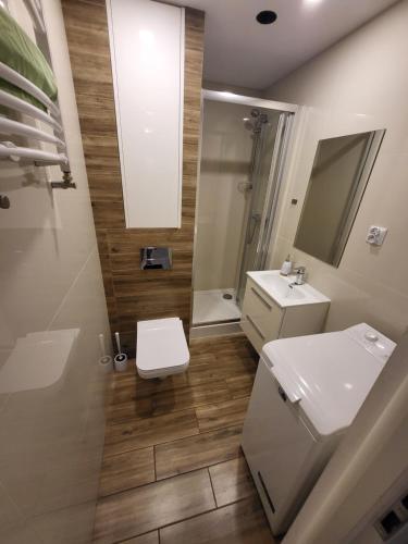 ein Badezimmer mit Waschbecken, Toilette und Spiegel in der Unterkunft KOŁOBRZEG Jana Pawła 19 mieszkanie 2 pokojowe in Kołobrzeg