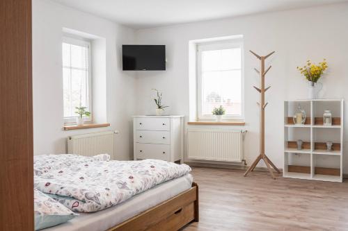 a bedroom with a bed and a dresser and two windows at Penzion u Novotných in Jiřetín pod Jedlovou