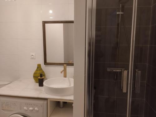 une salle de bain avec un lavabo et un miroir dans l'établissement Studio Hortensia 2 étoiles dans une maison de ville à 400m du centre ville, à Aix-les-Bains