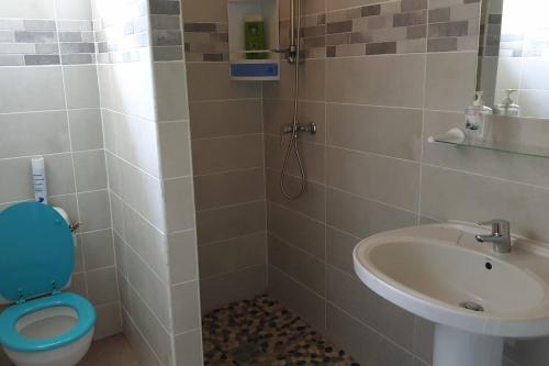 een badkamer met een toilet en een wastafel bij Le petit robert maison f3 plein pied in Le Robert