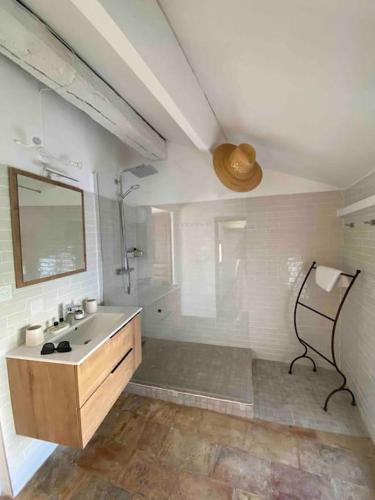 La grande salle de bains est pourvue d'un lavabo et d'une douche. dans l'établissement Grand duplex lumineux-hyper centre, à Arles