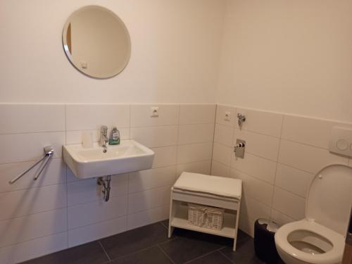 a bathroom with a sink and a toilet and a mirror at Gästewohnung Fischer in Strehla