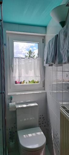 ein Bad mit einem WC und einem Fenster in der Unterkunft Apartment Wien Döbling in Wien