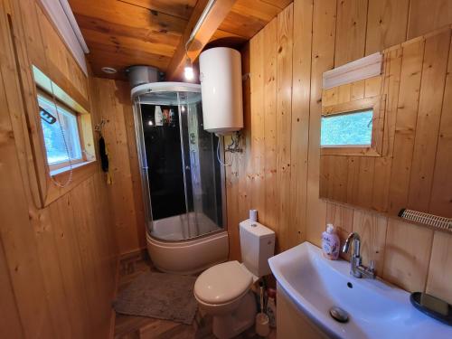 La salle de bains est pourvue de toilettes et d'un lavabo. dans l'établissement Miejsce w lesie, 