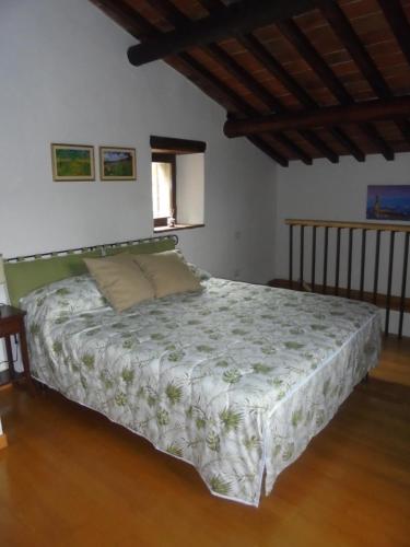 1 dormitorio con 1 cama grande en una habitación en CASA GIOIA, en Greve in Chianti