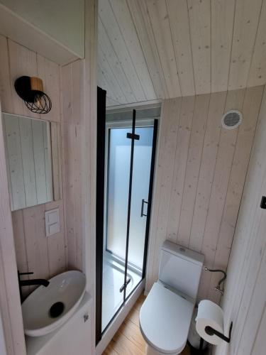 a bathroom with a white toilet and a sink at Tiny House Jastarnia in Jastarnia