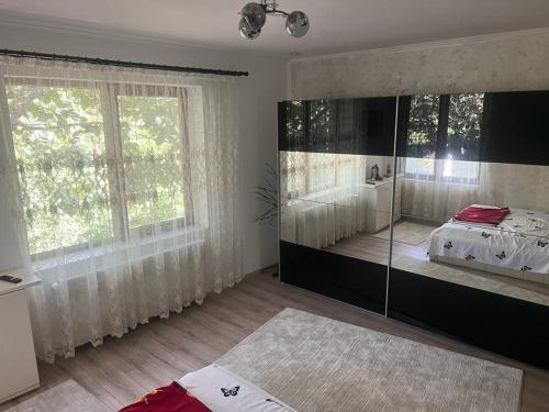 a bedroom with a bed and a large mirror at Pensiunea B C M in Malu Mare