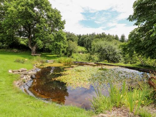 a pond in the middle of a field with trees at Birchenhayes in Saltash