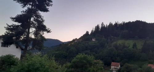 a view of a mountain with a house and trees at Vareš in Vareš