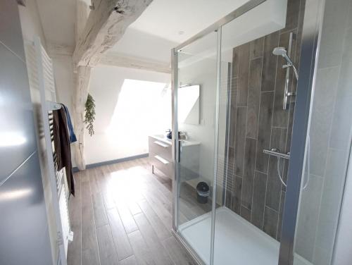 uma casa de banho com um chuveiro e uma porta de vidro em Le palais duplex em Autun