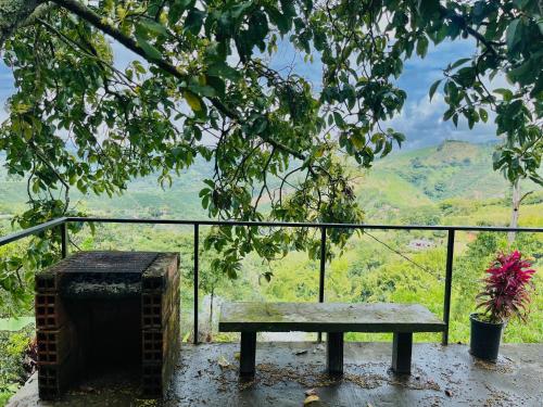 un banco sentado bajo un árbol con vistas en Tierra Mágica eje cafetero, en Manizales