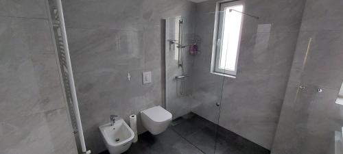 普拉的住宿－Apartman Lidija，一间带厕所和淋浴的浴室