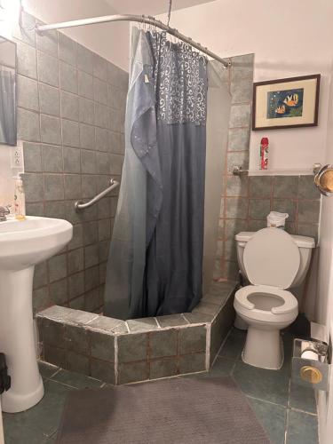 uma casa de banho com um chuveiro, um WC e um lavatório. em Macaw Guest House em Nova York