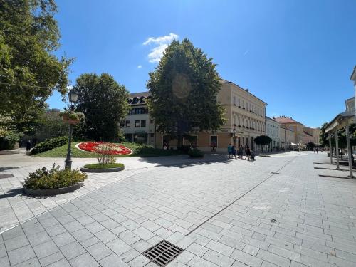 an empty street in a city with buildings and trees at Tamás Apartman in Székesfehérvár