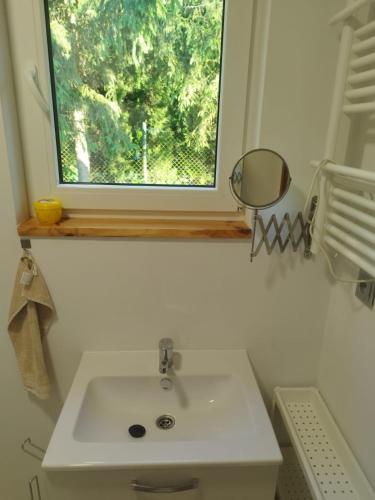 a bathroom with a sink and a window at Budlejowy domek in Kołczewo