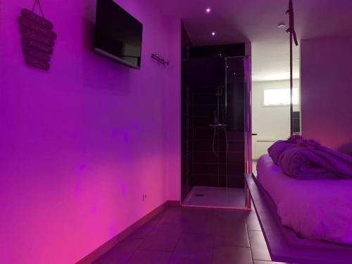 a purple room with a bed and a walk in shower at Appartement Lit Suspendu in Masevaux