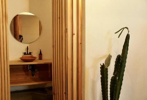 een badkamer met een wastafel, een spiegel en een cactus bij Casa Leona Oaxaca in Oaxaca City