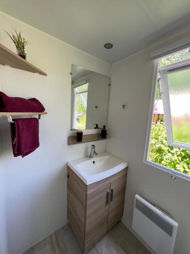 une salle de bain avec un lavabo et un miroir dans l'établissement Mobil-Home 4 étoiles avec piscine proche de Blois, à Onzain